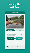 Fish Ace Screenshot 1