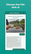 Fish Ace Screenshot 3
