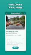 Fish Ace Screenshot 4