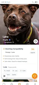 Pawfectly Screenshot 2