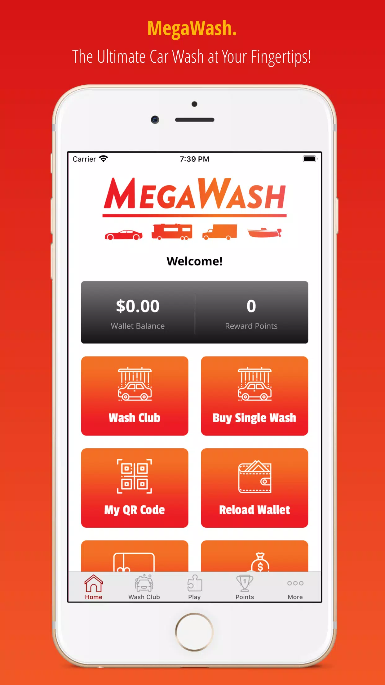 MegaWash Screenshot 1